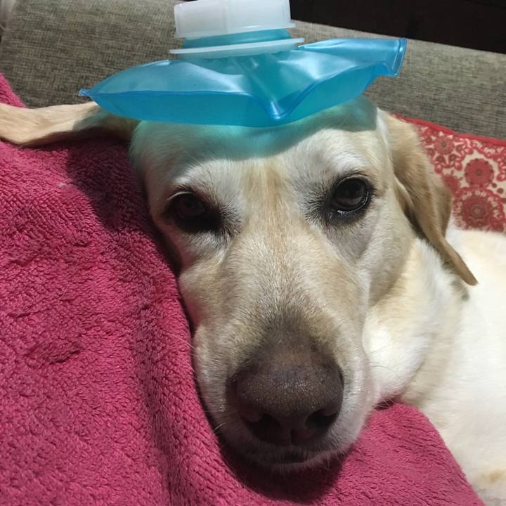 25b64fb6 84a6 4659 bd55 1e0fd91ba502