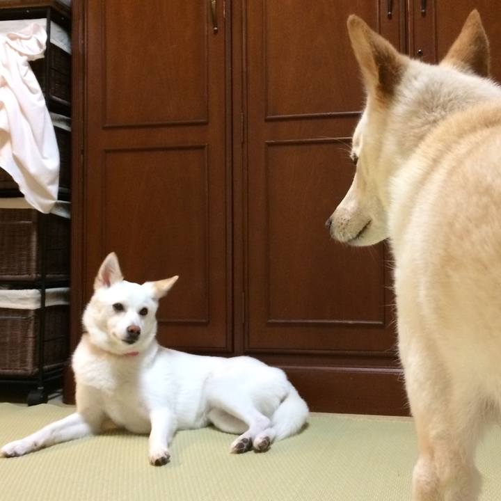 25b655cb 4225 4ca9 8f6f 2cace4cc0850