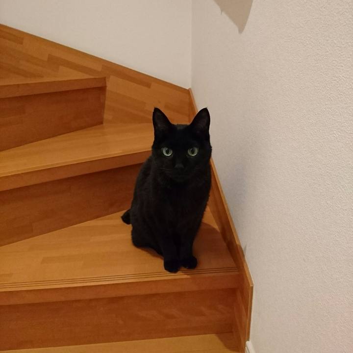 25b780b4 0c09 4bf6 8192 b2b1a202a65e