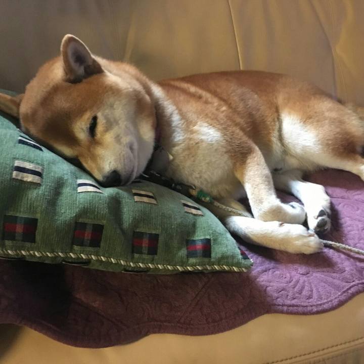 25b78b3e 2a1c 41bd aa5e 079ae3b6d9b1