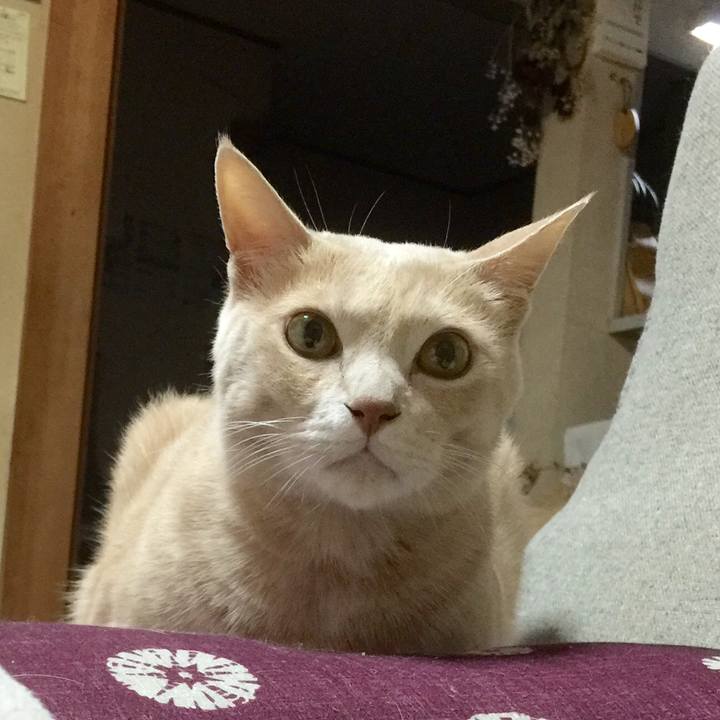 25b7c95e 1eb8 4619 b321 282628a7ea95