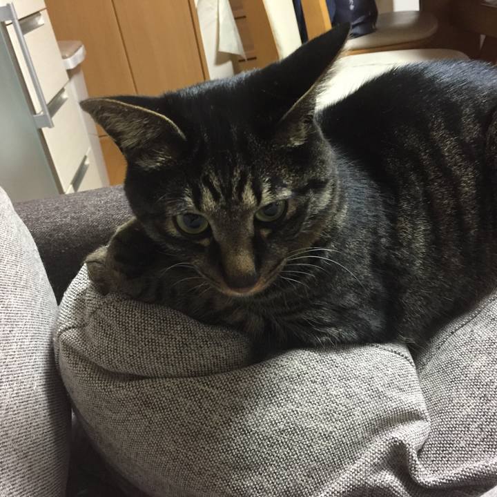 25b88734 e354 4d12 b6f0 e9b17b80a5d2