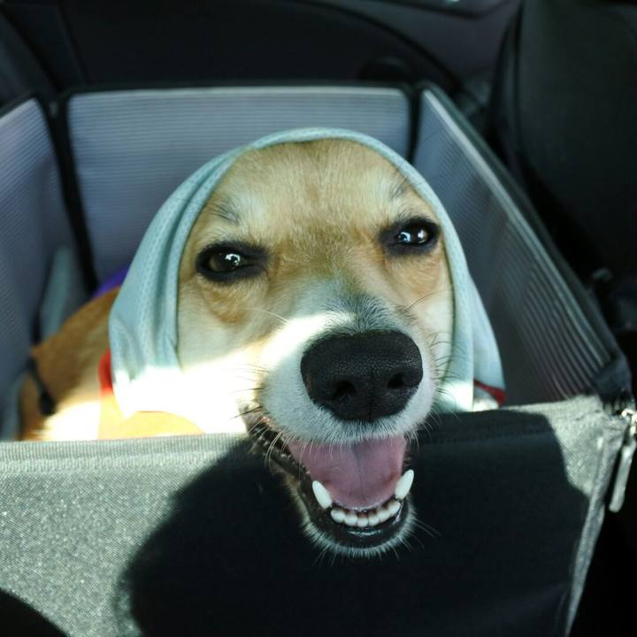 25b8e2db 8142 4056 80cb de686456a7aa