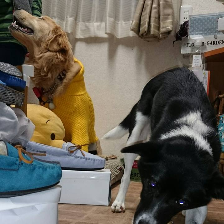 25b8ee3e 0148 4b72 a898 9915bbc6768c