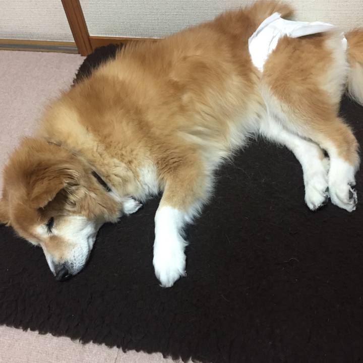 25b8f324 0865 4afc 915e cb7767648224