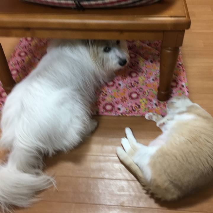 25b9fc8b 40e1 4639 b636 11110be080ab