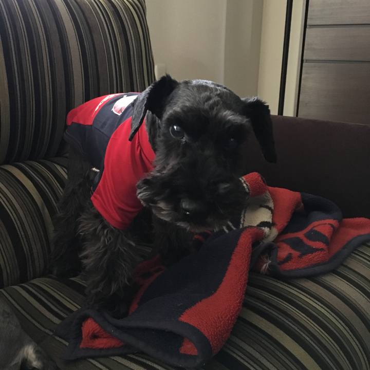 25ba1b32 98e3 4a6c adfd c542ad697bb0