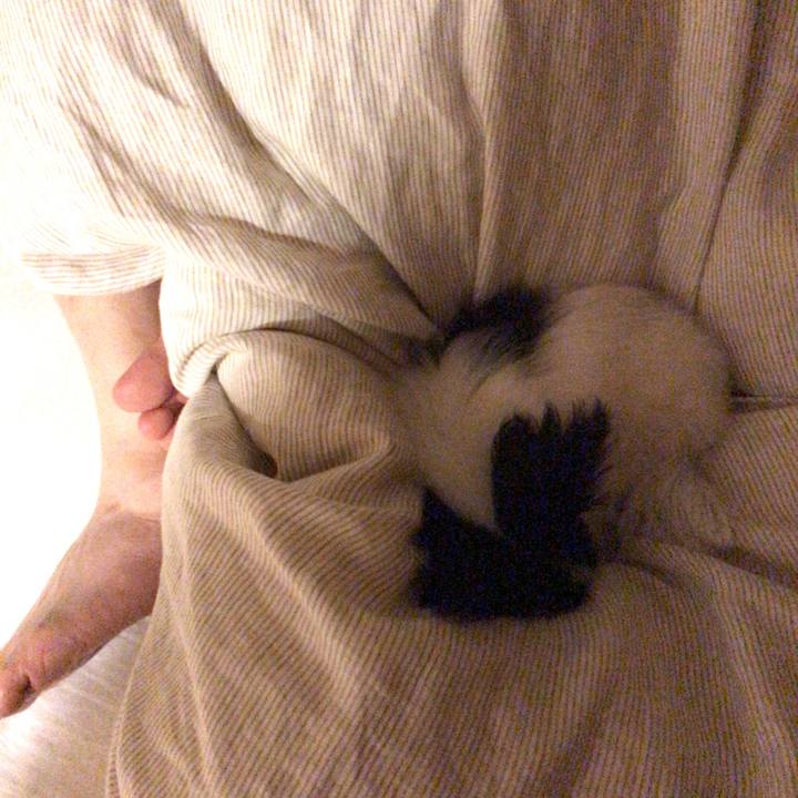 25ba49bf 443d 4dad b6b0 b1c2e27063a1