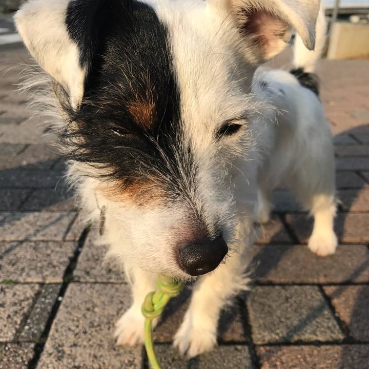 25ba9213 64ee 4bc9 8eea 0044d3c34b8a