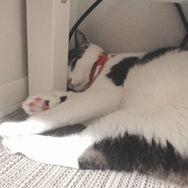 25bab50e a414 4c5f 92e4 27aef65c6f23