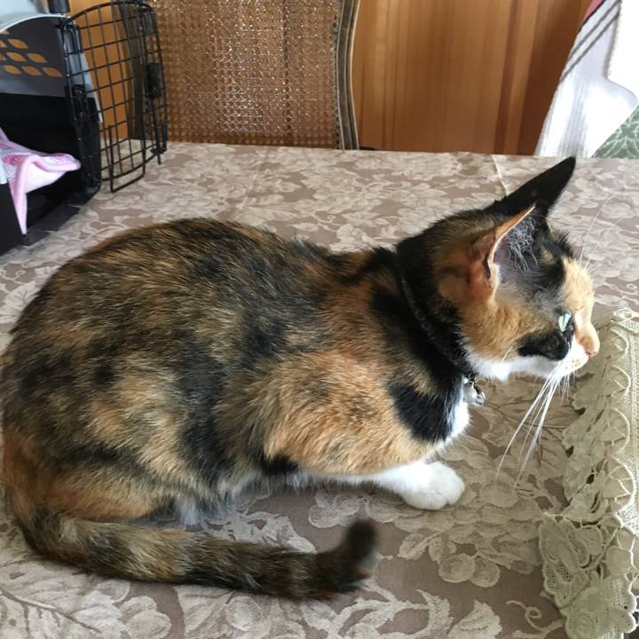 25bb09aa a2b0 4d06 85ce ce0fd7b5110f