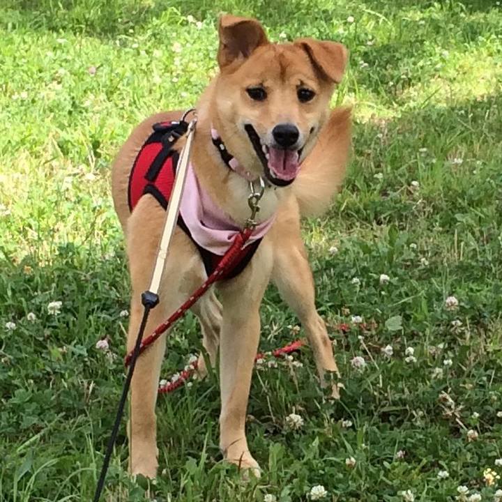 25bb0c76 bb20 44e2 b29d 77ba3c25190f