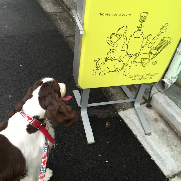 25bb1a13 9c30 4139 9b46 0f77b39d4d03