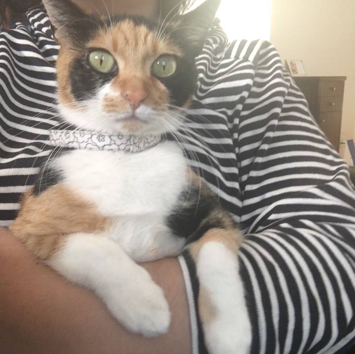 25bc2170 ab73 480f adcc 180d860a1a69