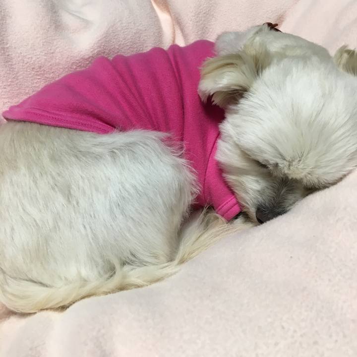 25bc21b0 271d 4db9 bbe2 dc31680383b4