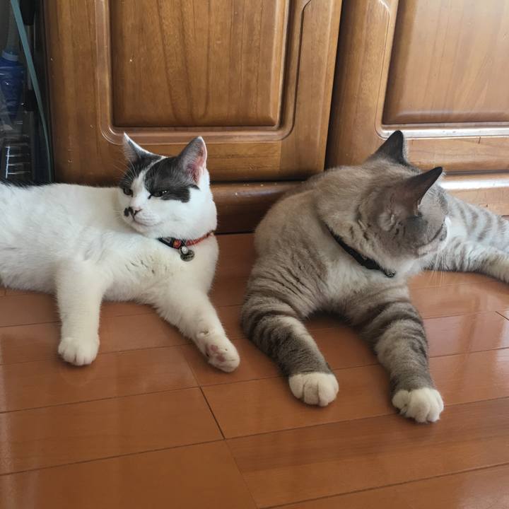 25bc385a af51 4fe3 a5f8 700303e1911d