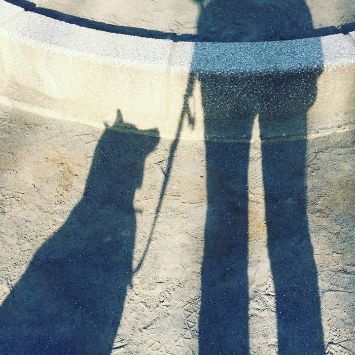 25bc5299 d3e2 497c 8407 9a83073bfb2a