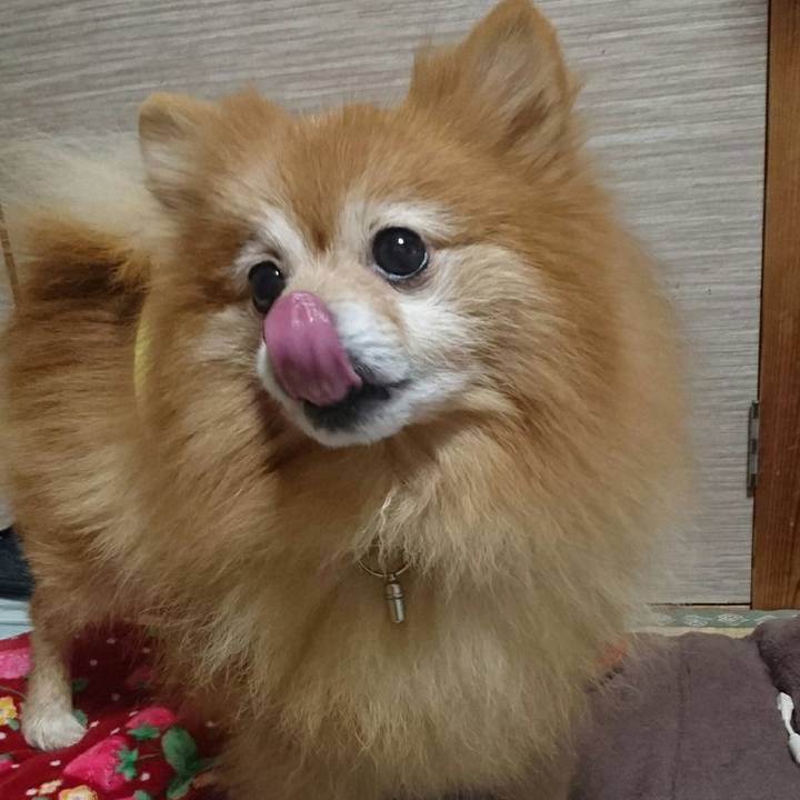 25bc7fc8 125c 41bf 80e3 53f95d94345d