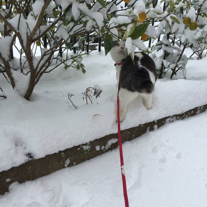 25bd3c35 df51 45fc a2bb 6ebd22873879