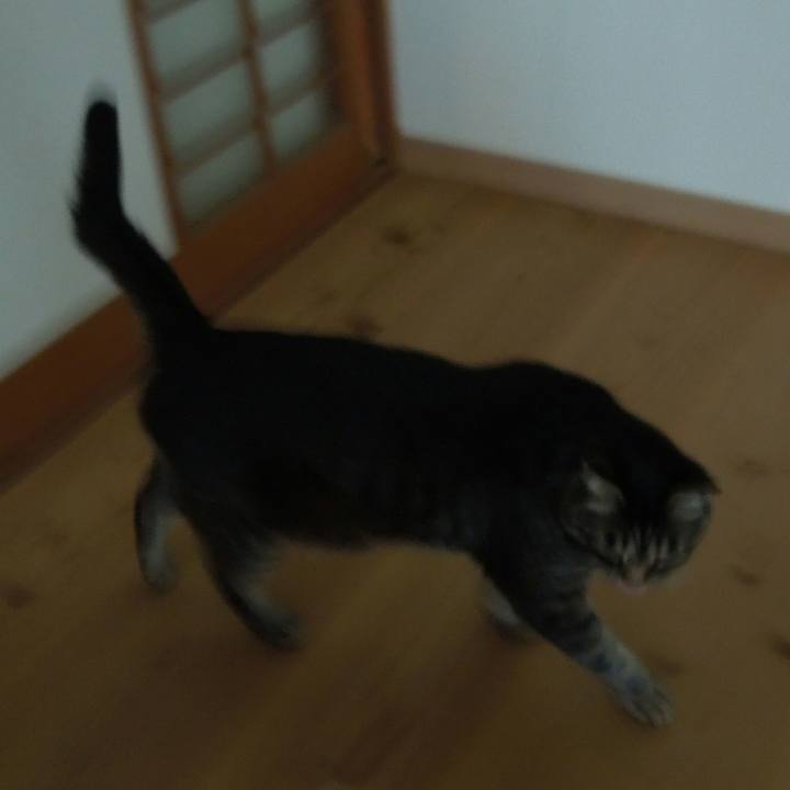 25bd6b6b 0475 49ca ab63 23a56761a28e