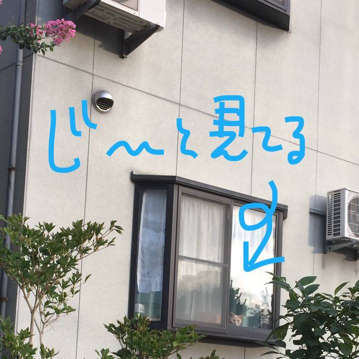 25bda0cf 0684 412e 8d11 543b555fe390