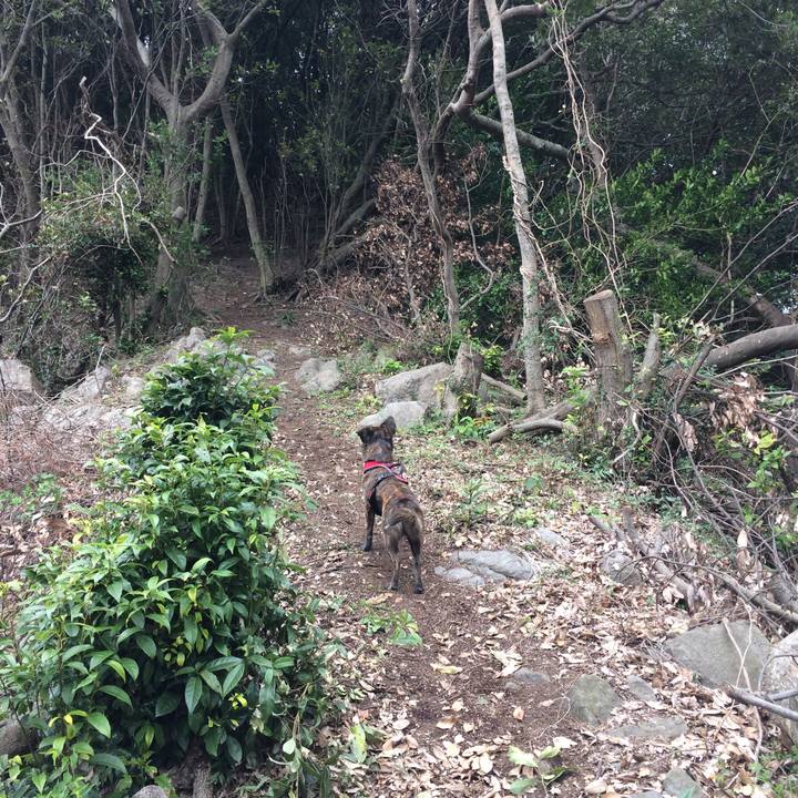 25be290b c6c7 4936 8aa9 8806ad738a56