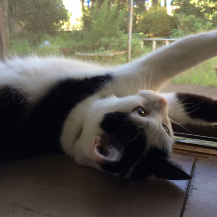 25be9075 48d6 447d 82ce 4529e5675e0f