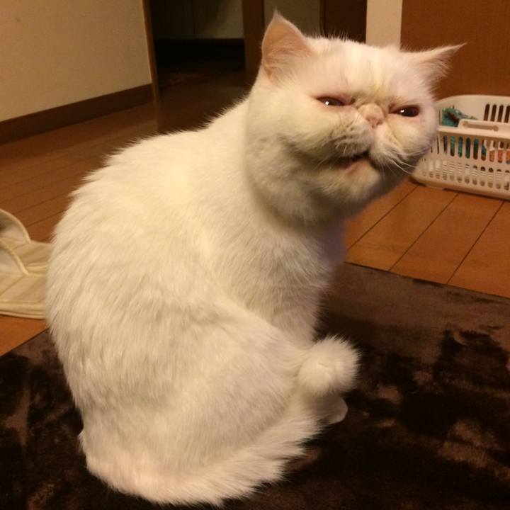 25bee4e0 a2b5 4d70 9dbb 52c162b5af43