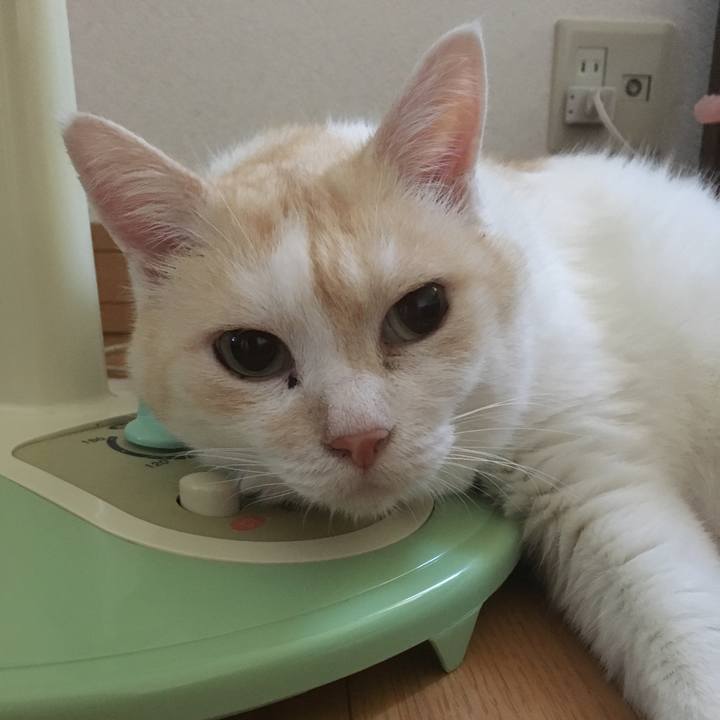 25bf9c53 fb60 47b5 ad37 b36198bfe8dd