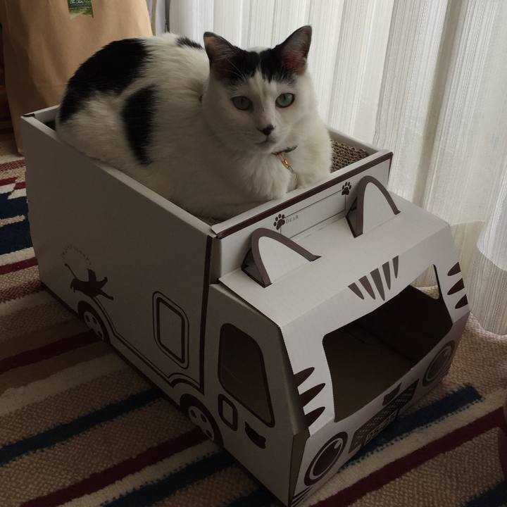 25c143a1 6dd8 4203 8e28 173d66a1a53b