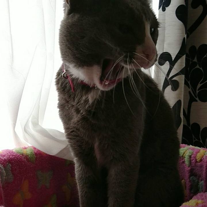 25c2287c 4a98 4a41 948a 961316fe6293