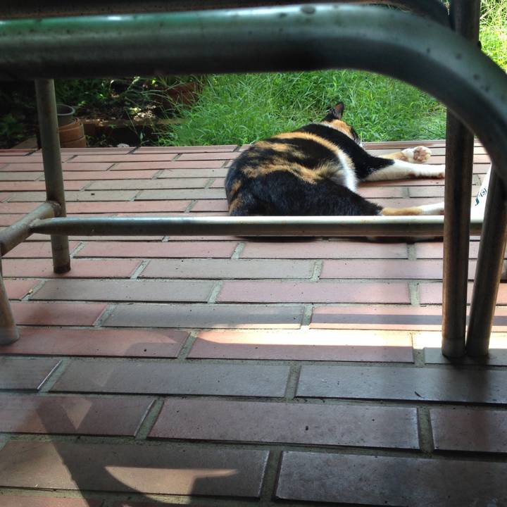 25c35662 5646 4819 a977 929940c7fd67