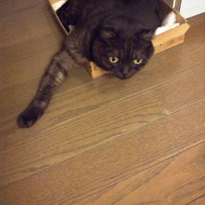 25c3943e a0ee 4073 867c 3fbbb3b3cc74