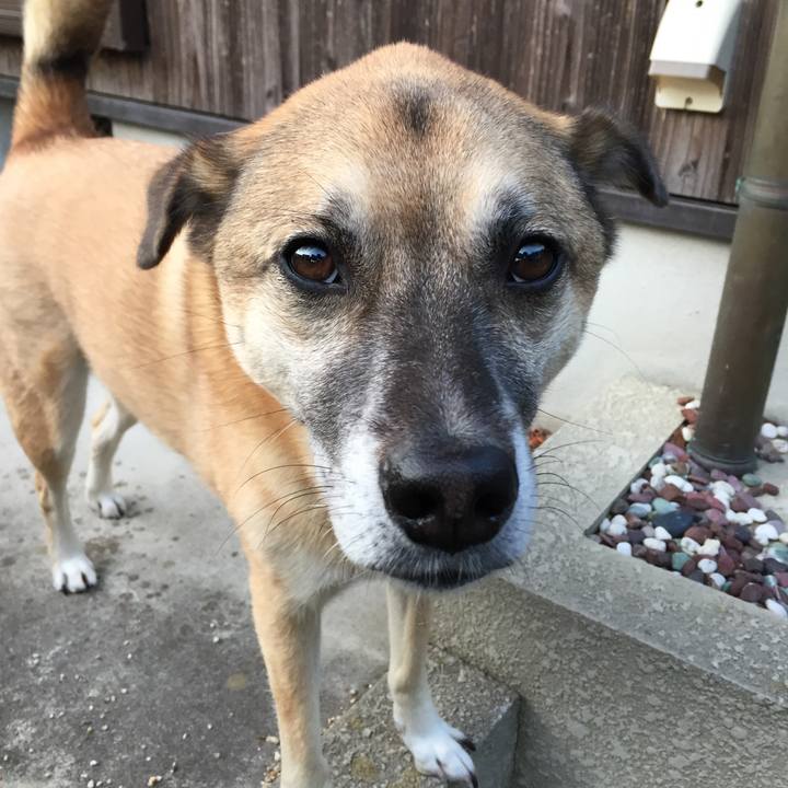 25c3a271 081b 423c 8370 30b917c2e95e