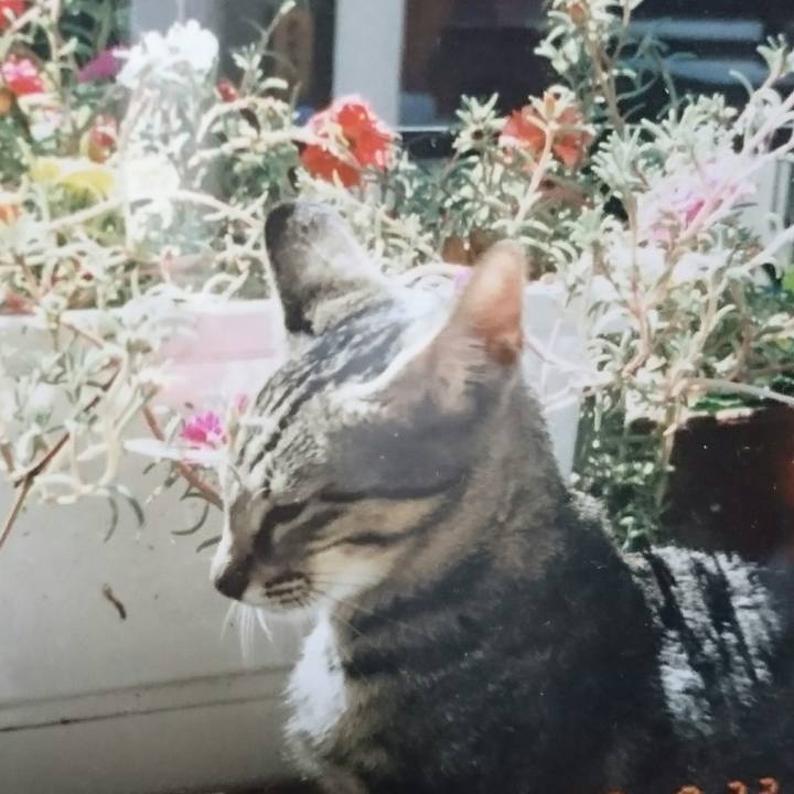 25c3c846 4ddd 421a aa45 5fe85cd6f94a