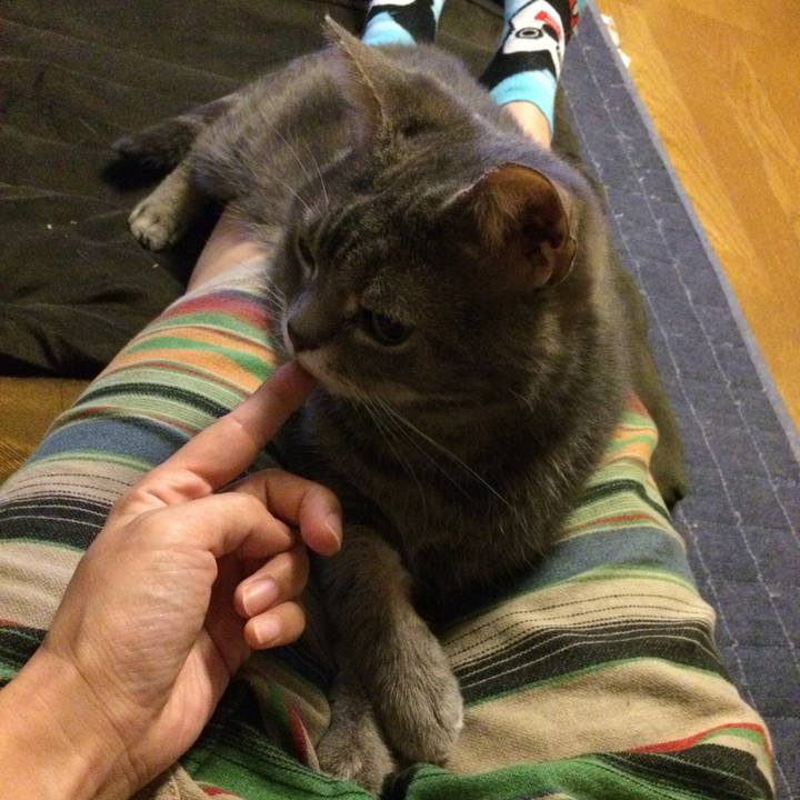 25c43046 aa18 4420 a4a5 6db24d3b6fe0