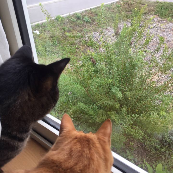 25c47123 9175 4dde 8148 565b8f45772f