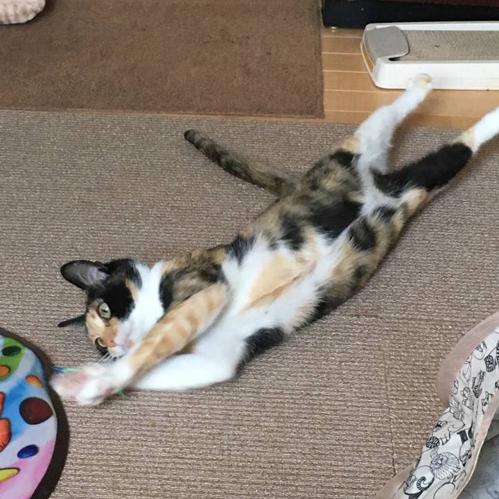 25c48344 0b1b 4102 9413 51e6fecfb41f