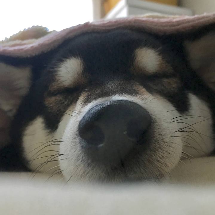 25c52037 62fa 45bb bc4c 9ac76691736f