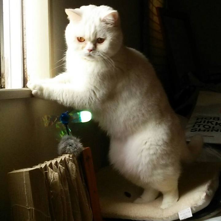 25c61b0a d194 4659 bf36 8c2b375842b4