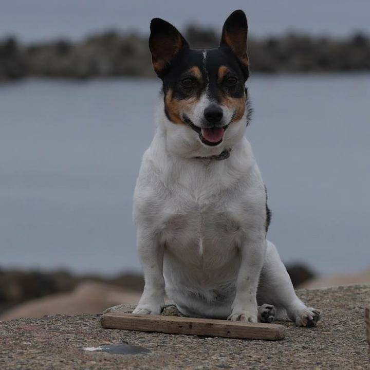 25c62a92 8e80 4a5d 8c5e 221876ffe3b0