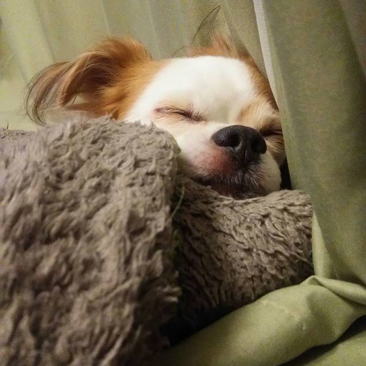 25c66088 f0e2 44a6 9311 0e82ccc1ed1c