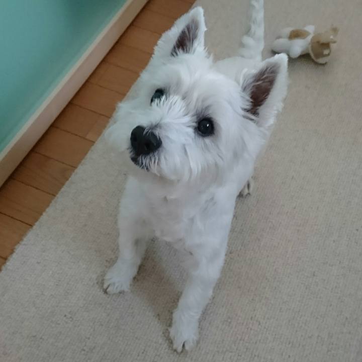 25c691b8 1f3f 4fef 8d93 4863b81cb3de