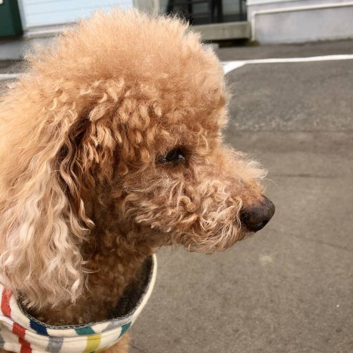 25c6ed8b 5a12 459e 983e e5c0ea651344