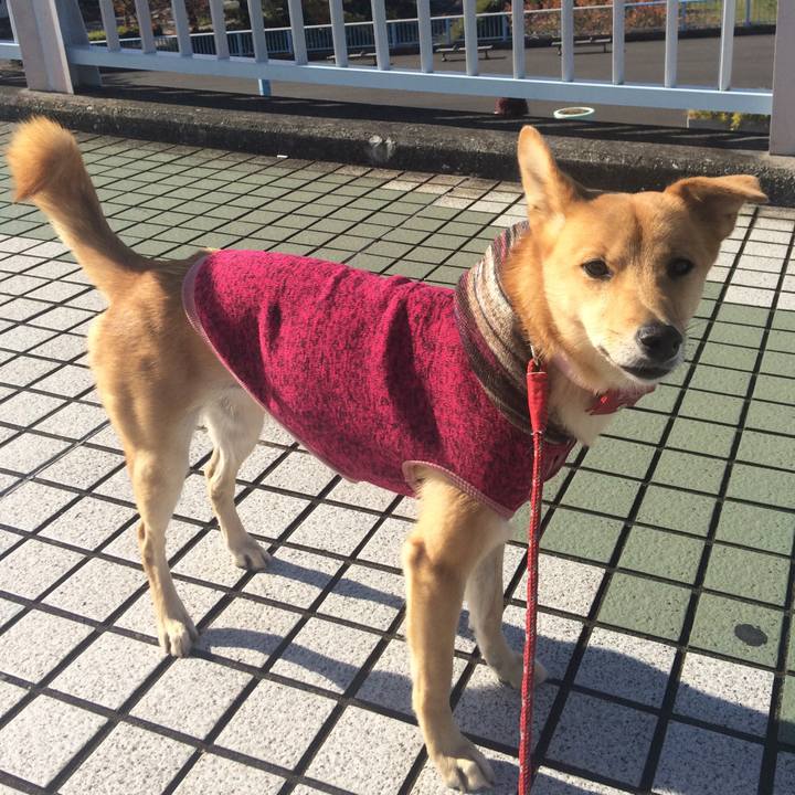 25c782f8 9dec 4a44 b92c c430a9a75850