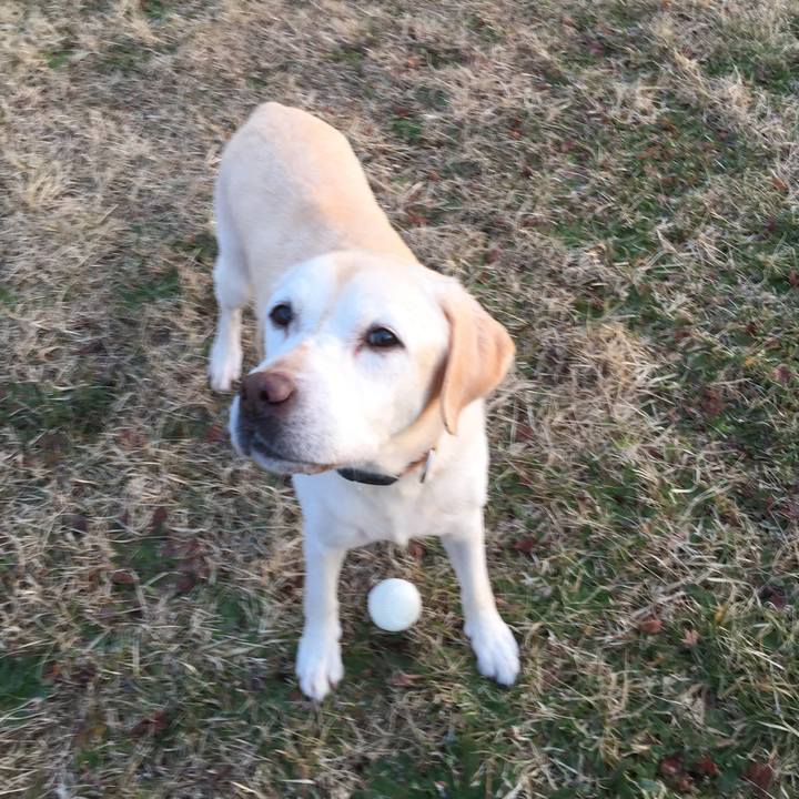 25c8047f ca81 47ee a413 56a4ca934613