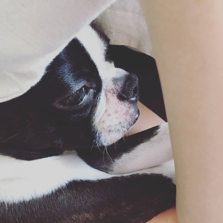 25c93fb7 a8ef 444c ab5a 938942a10f55