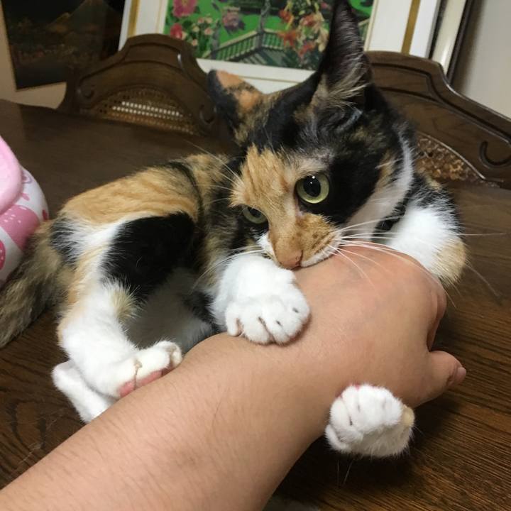 25c97583 70e9 42d1 99ab 44297a535381