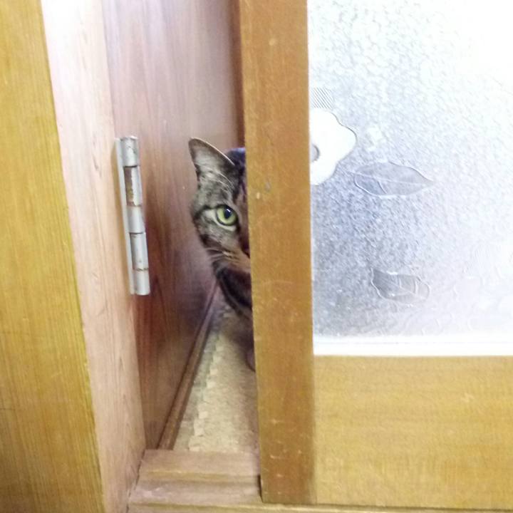 25c982b4 1610 4e3c aa6d dbdec9ee8224