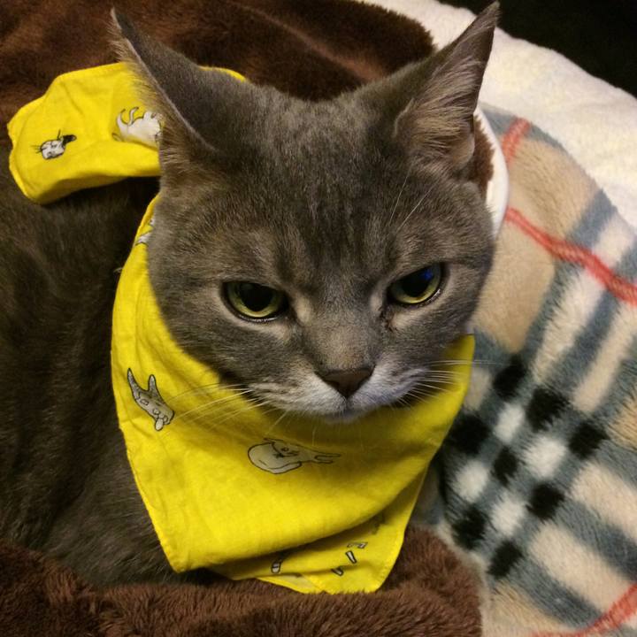 25c985c5 2259 4c72 8f89 fcde71c3c776